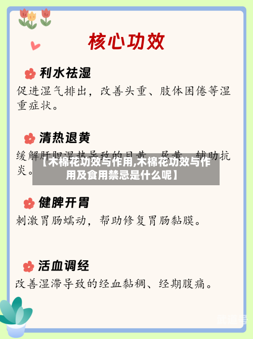 【木棉花功效与作用,木棉花功效与作用及食用禁忌是什么呢】