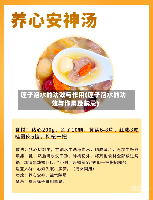 莲子泡水的功效与作用(莲子泡水的功效与作用及禁忌)