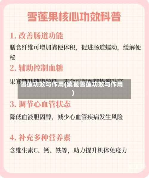 雪莲功效与作用(紫苞雪莲功效与作用)