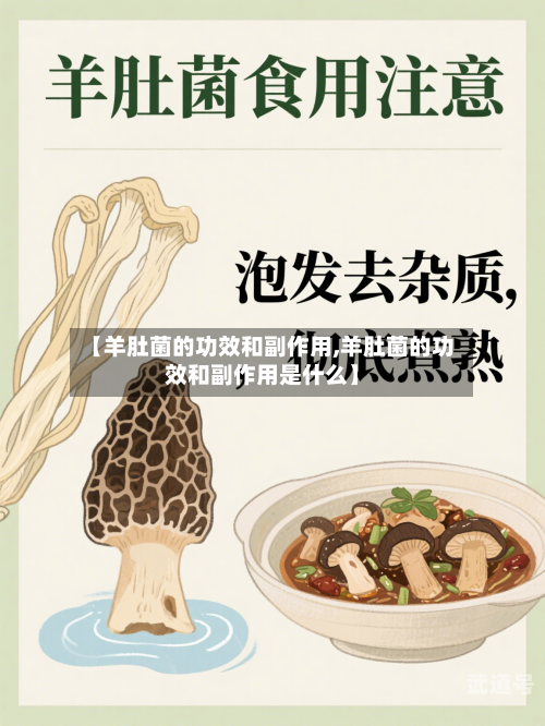 【羊肚菌的功效和副作用,羊肚菌的功效和副作用是什么】