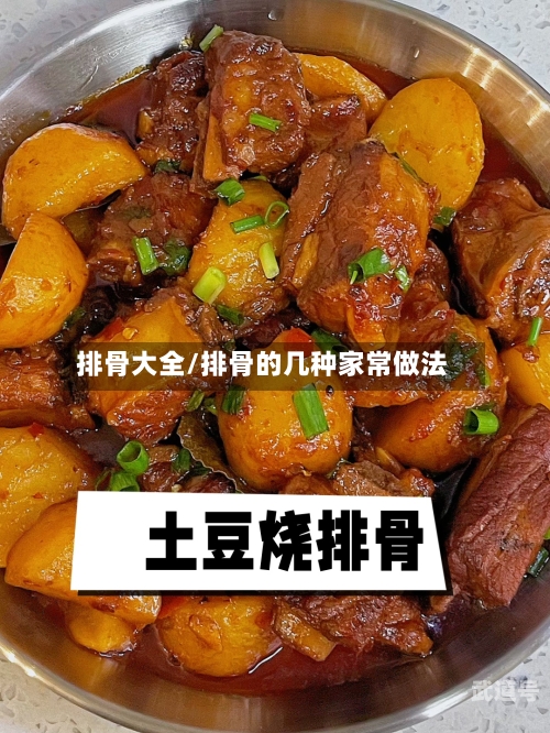 排骨大全/排骨的几种家常做法