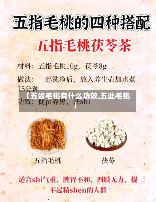【五齿毛桃有什么功效,五此毛桃】