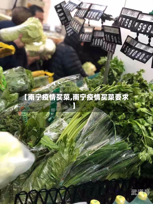【南宁疫情买菜,南宁疫情买菜要求】
