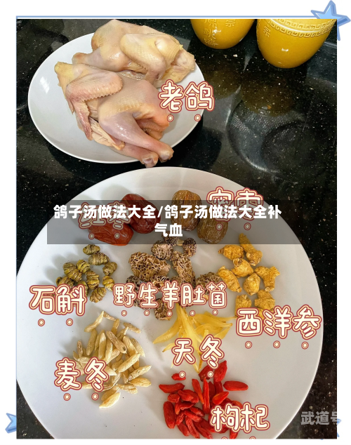鸽子汤做法大全/鸽子汤做法大全补气血
