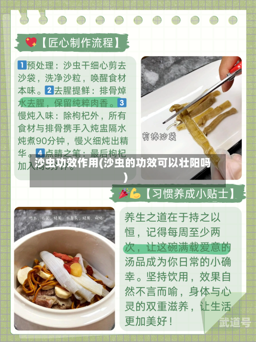 沙虫功效作用(沙虫的功效可以壮阳吗)