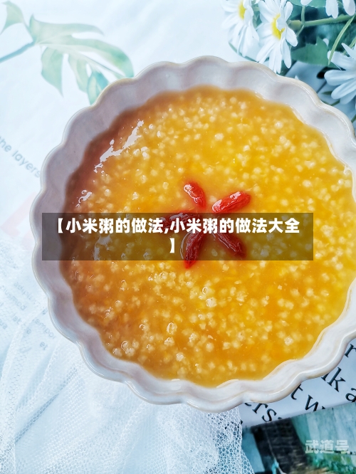 【小米粥的做法,小米粥的做法大全】