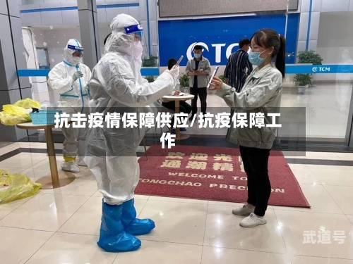 抗击疫情保障供应/抗疫保障工作