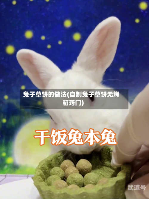兔子草饼的做法(自制兔子草饼无烤箱窍门)