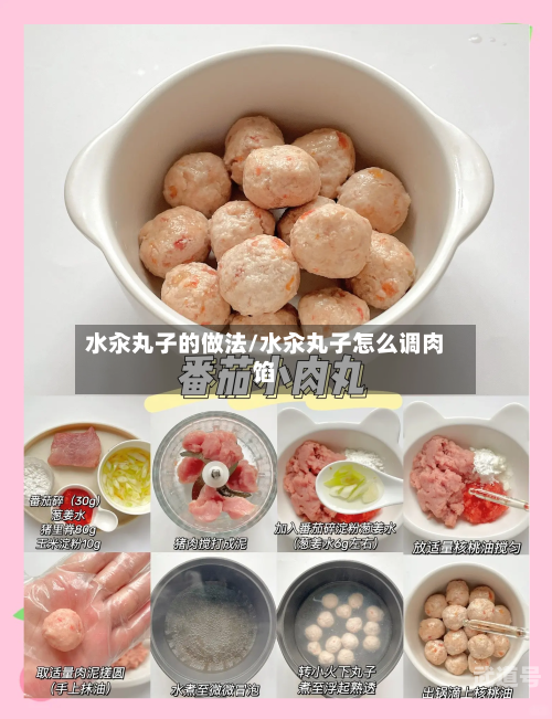 水汆丸子的做法/水汆丸子怎么调肉馅