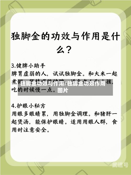 独脚金功效与作用/独脚金功效作用图片