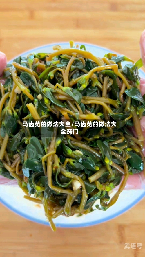 马齿苋的做法大全/马齿苋的做法大全窍门