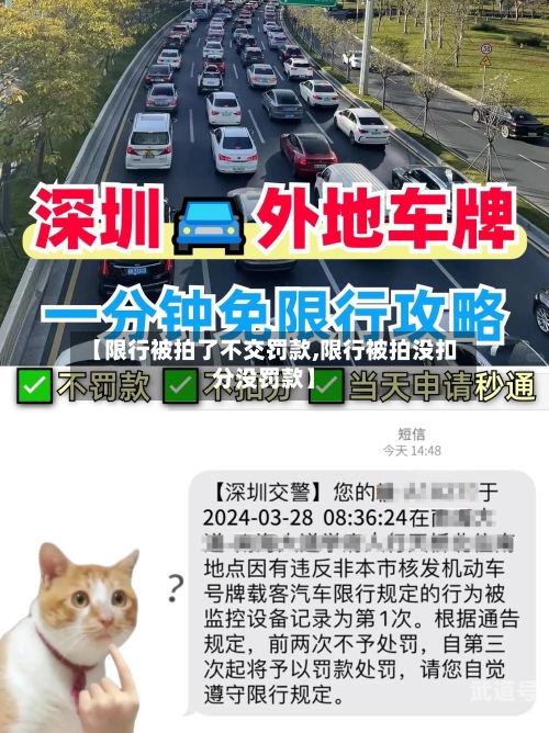 【限行被拍了不交罚款,限行被拍没扣分没罚款】