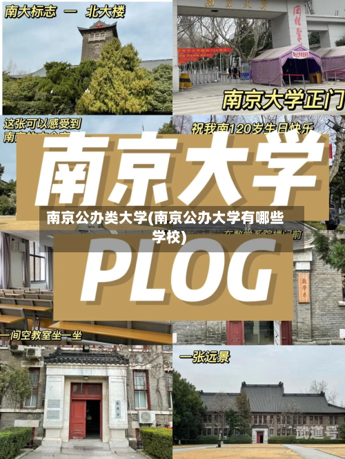 南京公办类大学(南京公办大学有哪些学校)