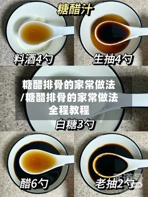 糖醋排骨的家常做法/糖醋排骨的家常做法全程教程