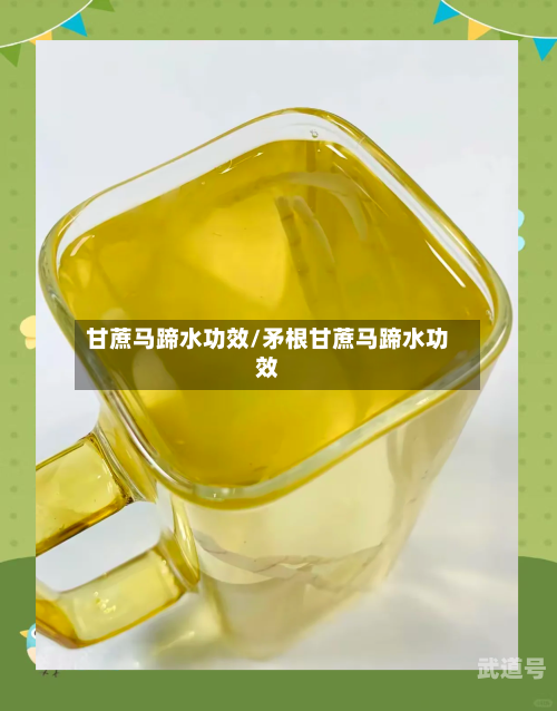 甘蔗马蹄水功效/矛根甘蔗马蹄水功效