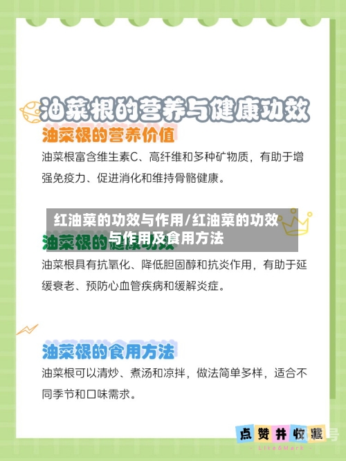 红油菜的功效与作用/红油菜的功效与作用及食用方法