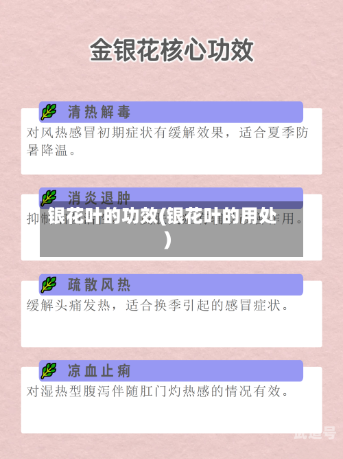银花叶的功效(银花叶的用处)