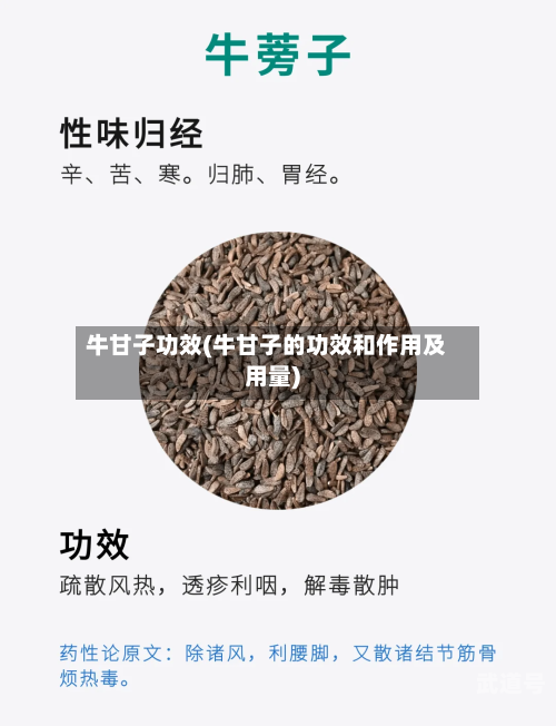 牛甘子功效(牛甘子的功效和作用及用量)