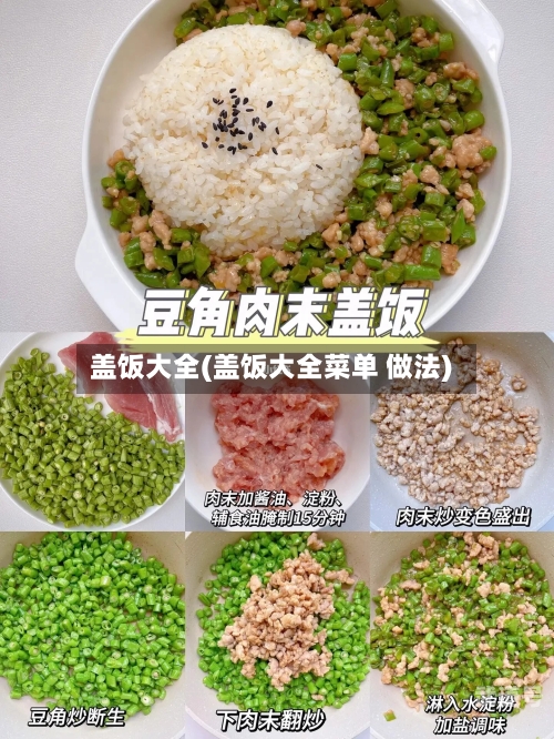 盖饭大全(盖饭大全菜单 做法)-第3张图片