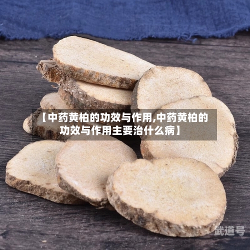 【中药黄柏的功效与作用,中药黄柏的功效与作用主要治什么病】-第3张图片