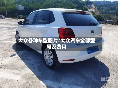 大众各种车型图片/大众汽车全部型号及费用