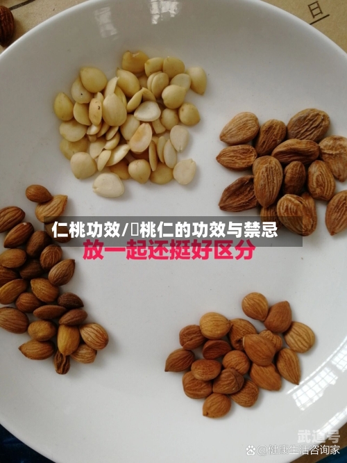 仁桃功效/燀桃仁的功效与禁忌