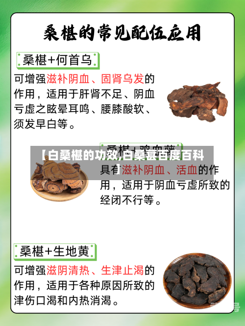 【白桑椹的功效,白桑葚百度百科】