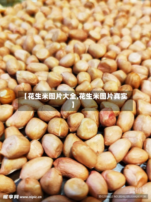 【花生米图片大全,花生米图片真实】