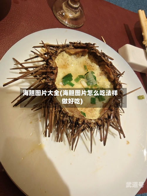 海胆图片大全(海胆图片怎么吃法样做好吃)