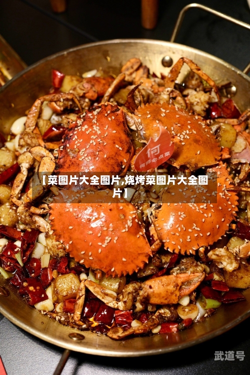 【菜图片大全图片,烧烤菜图片大全图片】