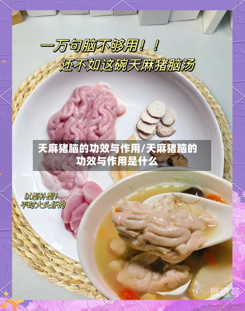 天麻猪脑的功效与作用/天麻猪脑的功效与作用是什么