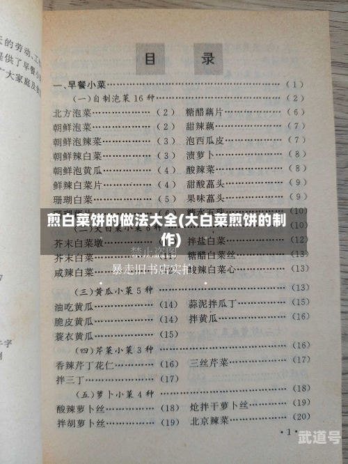 煎白菜饼的做法大全(大白菜煎饼的制作)