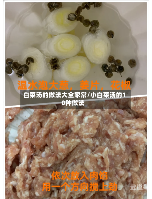白菜汤的做法大全家常/小白菜汤的10种做法