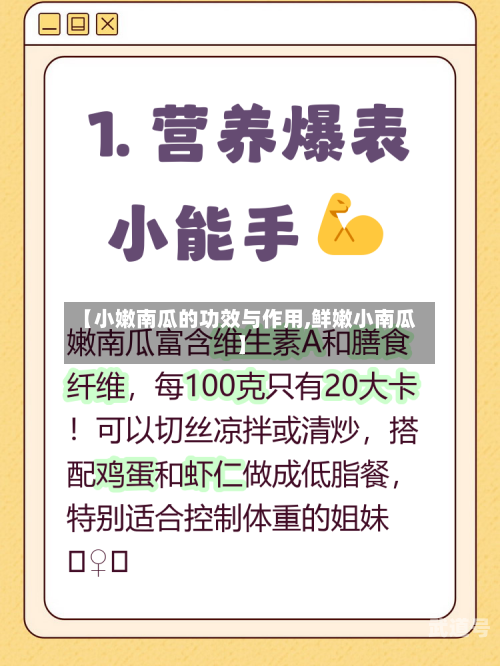 【小嫩南瓜的功效与作用,鲜嫩小南瓜】-第1张图片