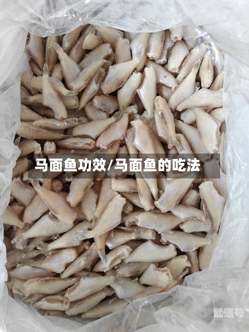 马面鱼功效/马面鱼的吃法-第1张图片