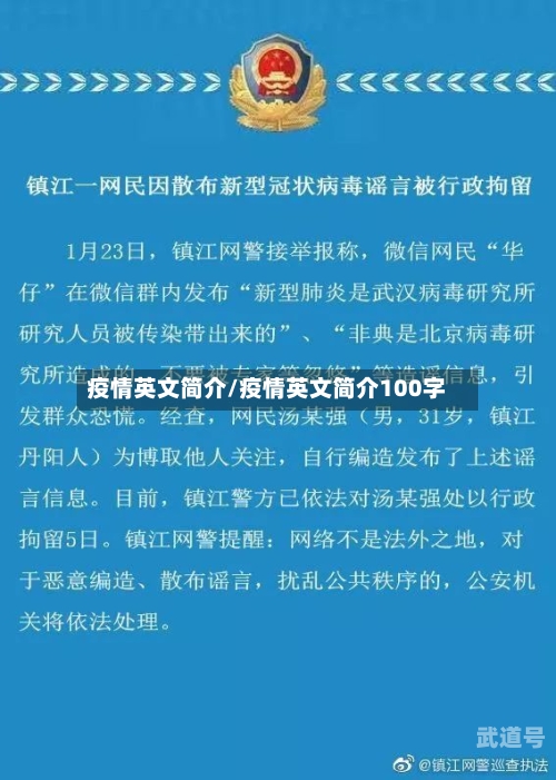 疫情英文简介/疫情英文简介100字
