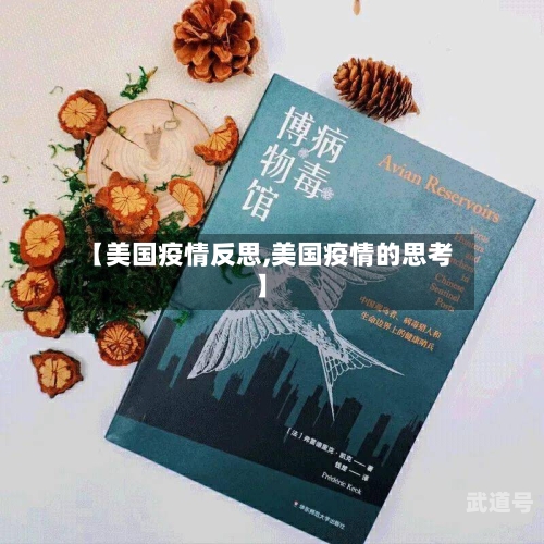 【美国疫情反思,美国疫情的思考】