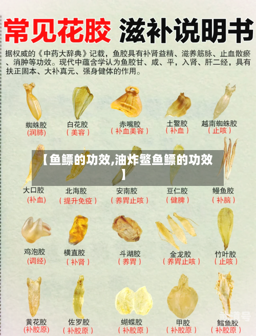 【鱼鳔的功效,油炸鳘鱼鳔的功效】