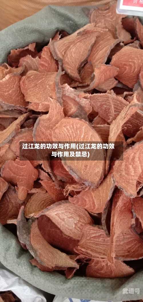 过江龙的功效与作用(过江龙的功效与作用及禁忌)