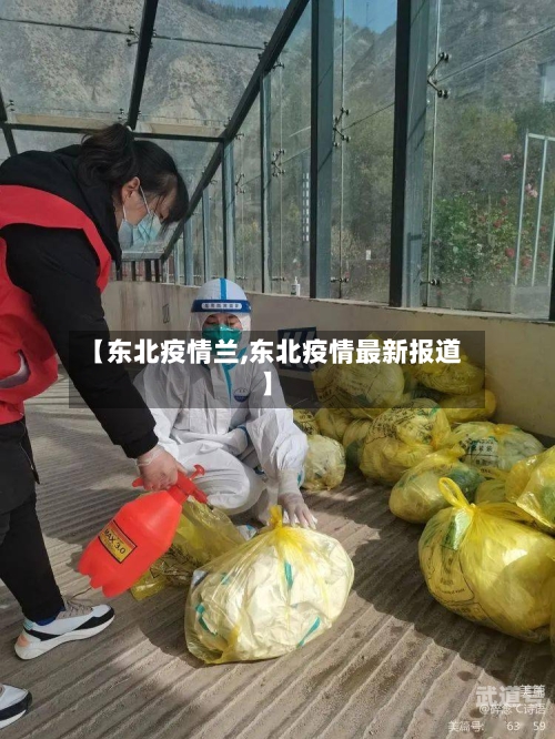 【东北疫情兰,东北疫情最新报道】