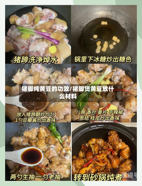 猪脚炖黄豆的功效/猪脚煲黄豆放什么材料