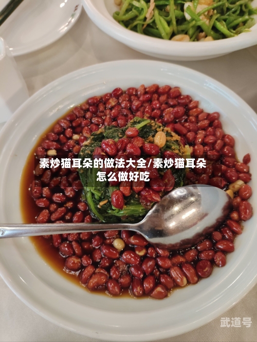 素炒猫耳朵的做法大全/素炒猫耳朵怎么做好吃