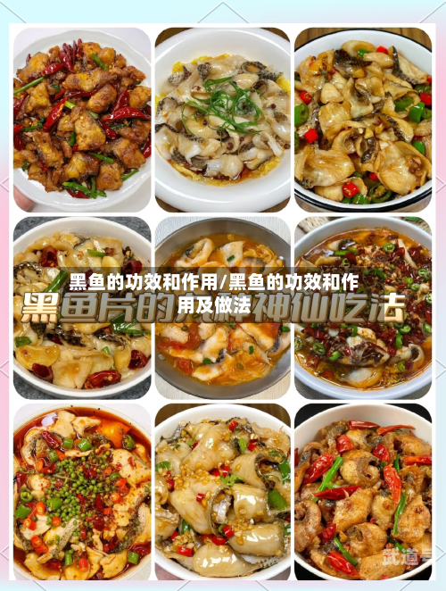 黑鱼的功效和作用/黑鱼的功效和作用及做法