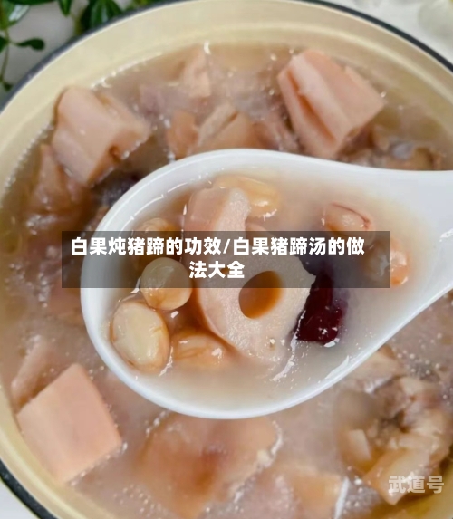 白果炖猪蹄的功效/白果猪蹄汤的做法大全
