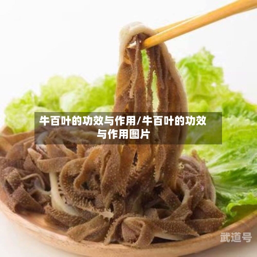 牛百叶的功效与作用/牛百叶的功效与作用图片-第3张图片