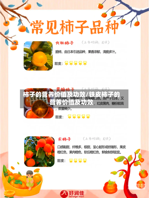 柿子的营养价值及功效/铁皮柿子的营养价值及功效-第3张图片