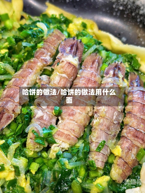 哈饼的做法/哈饼的做法用什么面
