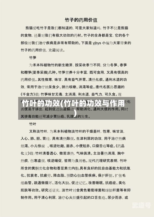 竹叶的功效(竹叶的功效与作用)
