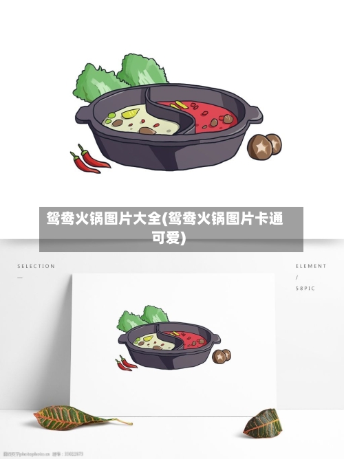 鸳鸯火锅图片大全(鸳鸯火锅图片卡通可爱)
