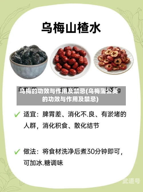 乌梅的功效与作用及禁忌(乌梅蒲公英的功效与作用及禁忌)